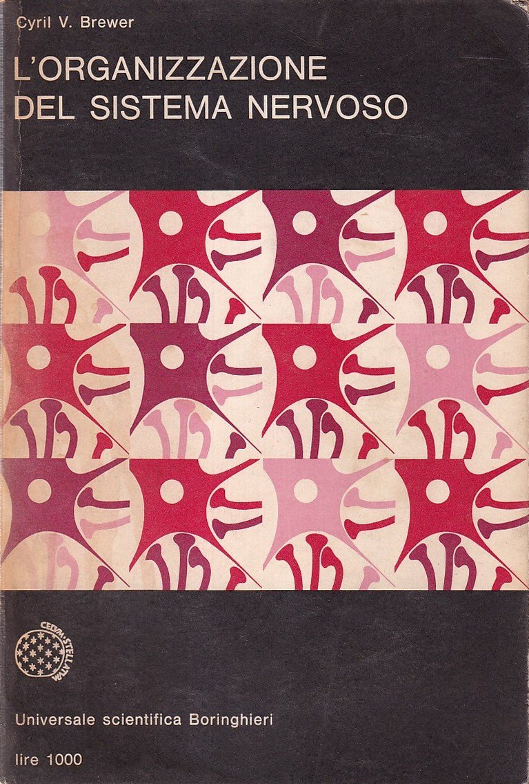 L'organizzazione del sistema nervoso | Immagine principale