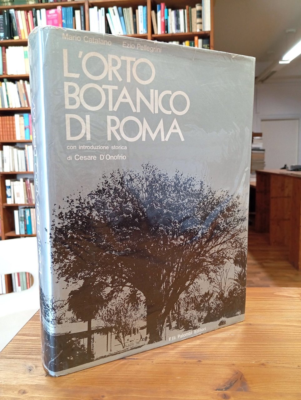 L'Orto Botanico di Roma