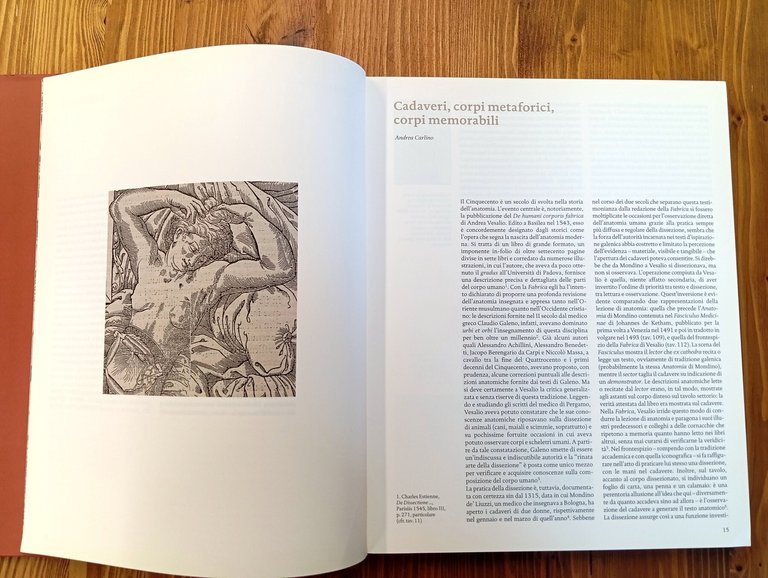 La bella anatomia. Il disegno del corpo fra arte e …