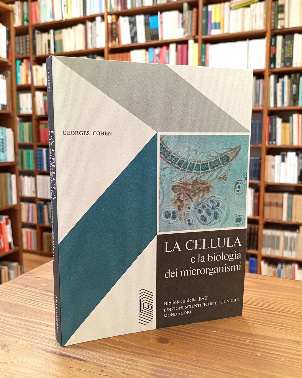 La cellula e la biologia dei microrganismi