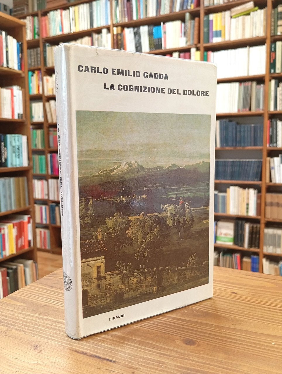 La cognizione del dolore