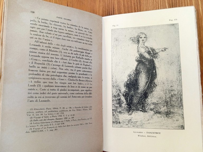 La critica e l'arte di Leonardo da Vinci