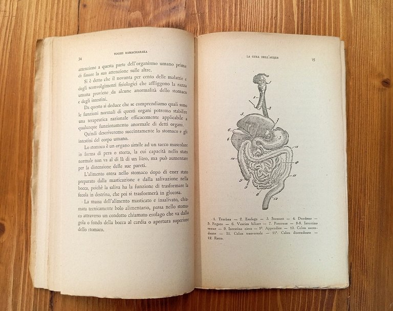 La cura dell'acqua. Idroterapia orientale col sistema hindu - yoghi