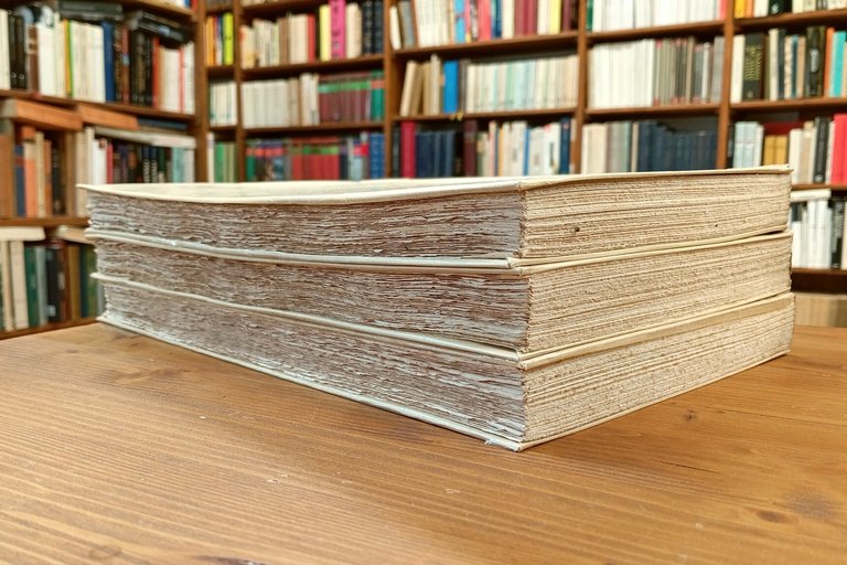 La Divina Commedia (3 volumi - opera completa) | Immagine Gallery 4