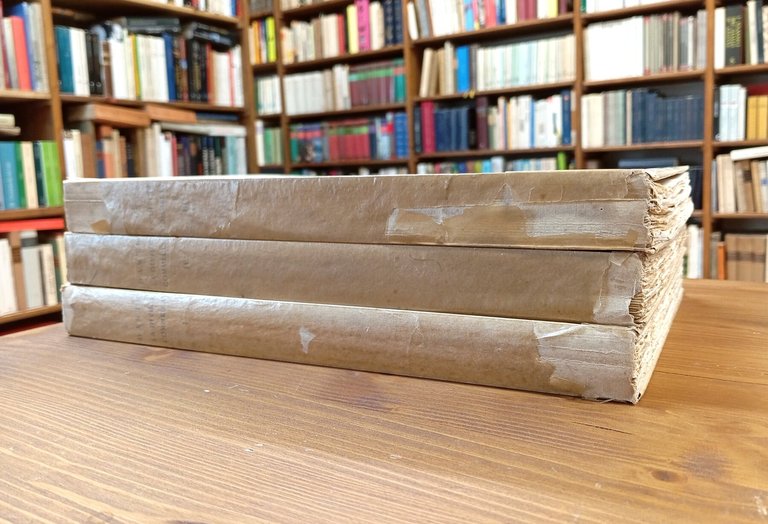 La Divina Commedia (3 volumi - opera completa) | Immagine Gallery 5