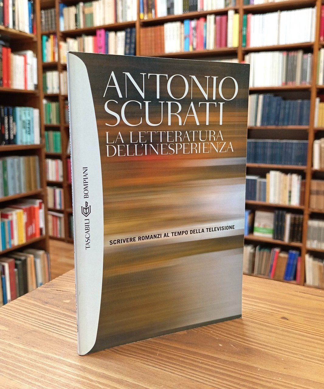 La letteratura dell'inesperienza. Scrivere romanzi al tempo della televisione