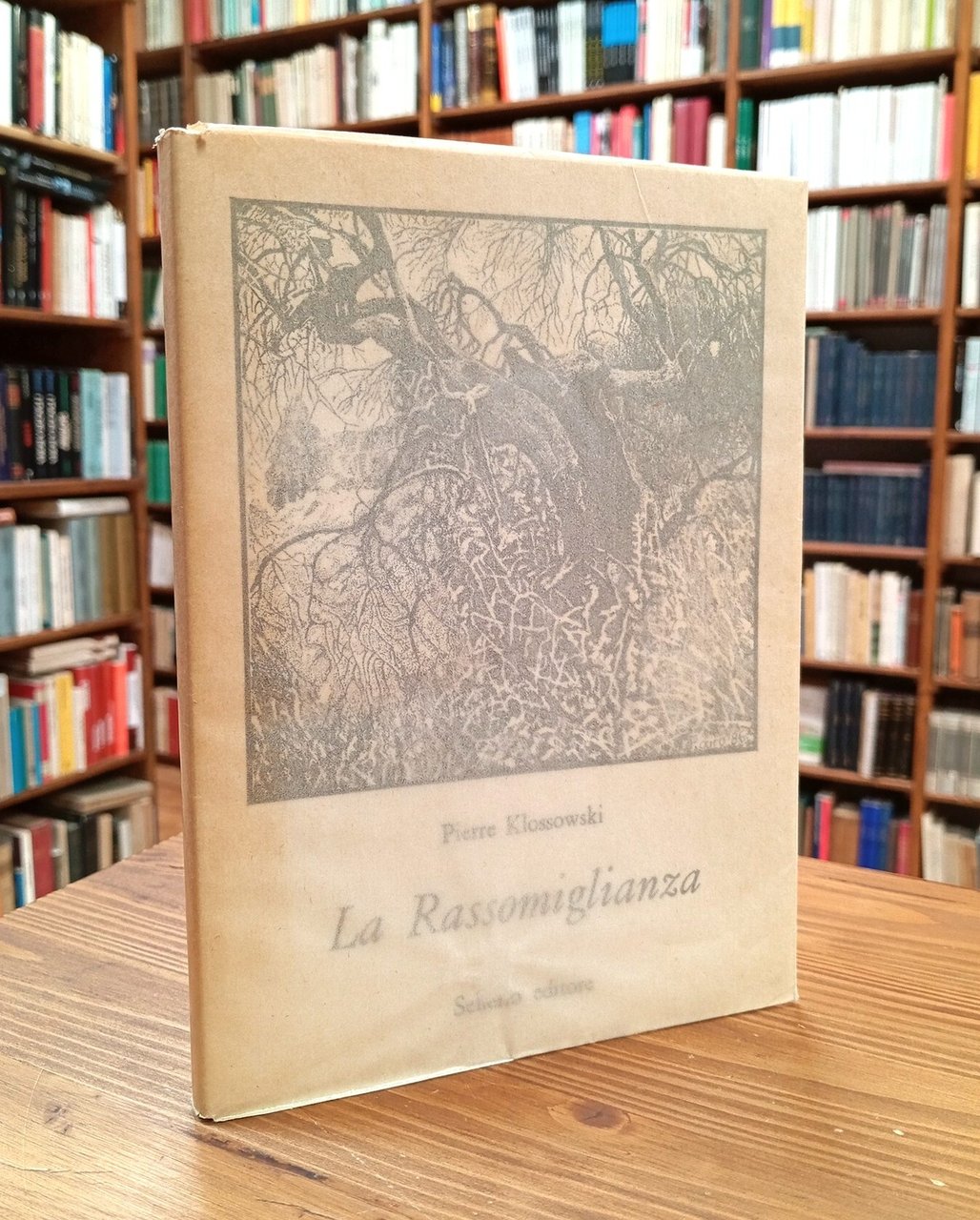 La Rassomiglianza | Immagine principale