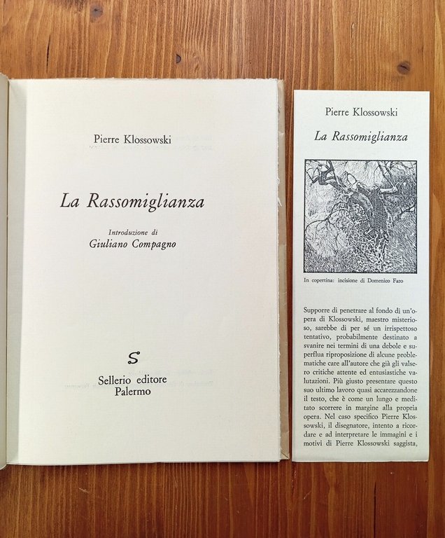 La Rassomiglianza | Immagine Gallery 2