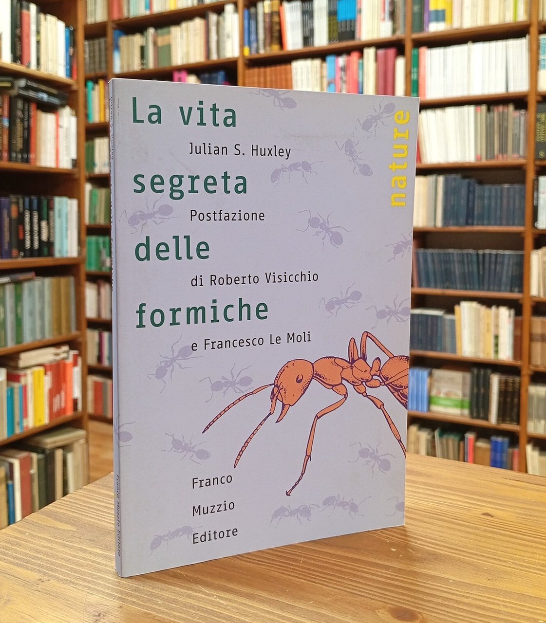 La vita segreta delle formiche