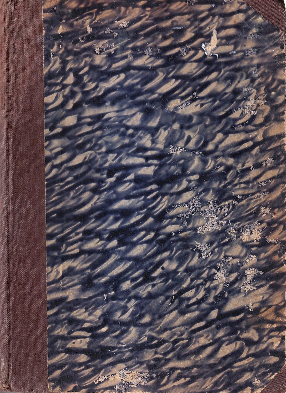 Le avventure di Pinocchio