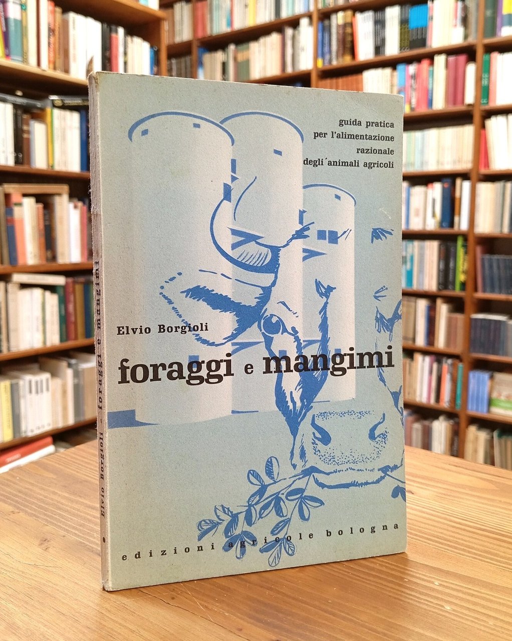 Le basi dell'alimentazione del bestiame. Foraggi e mangimi