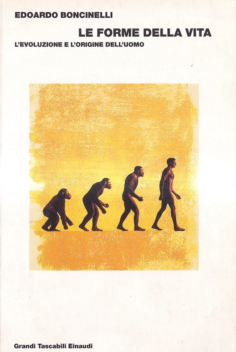 Le forme della vita. L'evoluzione e l'origine dell'uomo