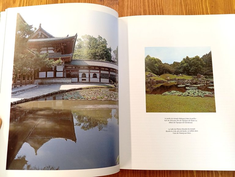Le jardin japonais. Angle droit et forme naturelle