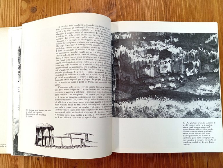 Le meraviglie dell'architettura spontanea. Note per una storia naturale dell'architettura …