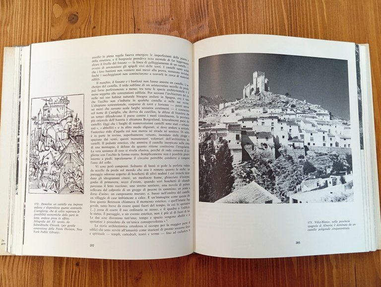 Le meraviglie dell'architettura spontanea. Note per una storia naturale dell'architettura …