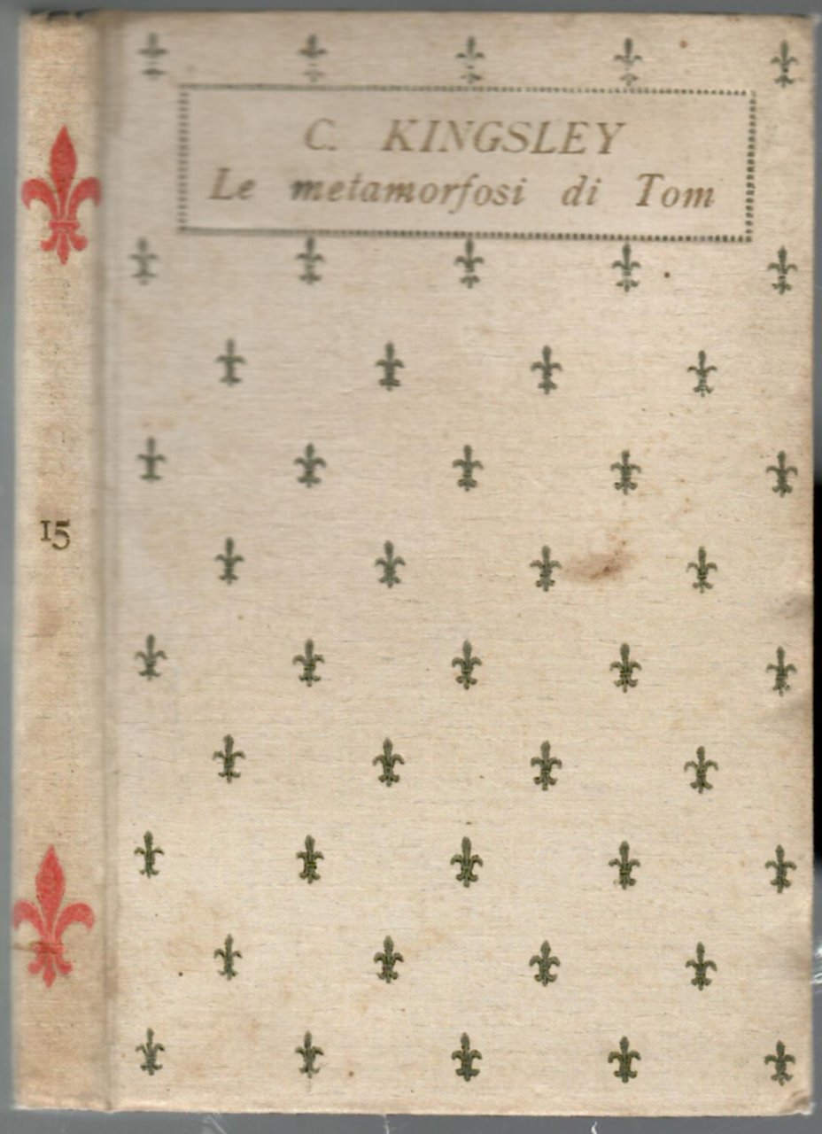 Le metamorfosi di Tom | Immagine principale