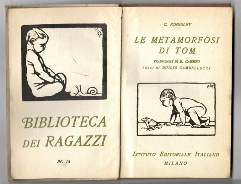 Le metamorfosi di Tom | Immagine Gallery 2