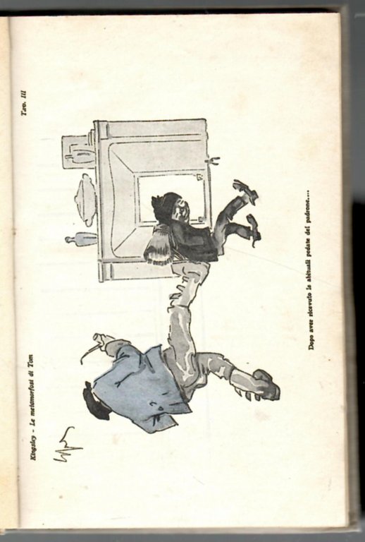 Le metamorfosi di Tom | Immagine Gallery 3