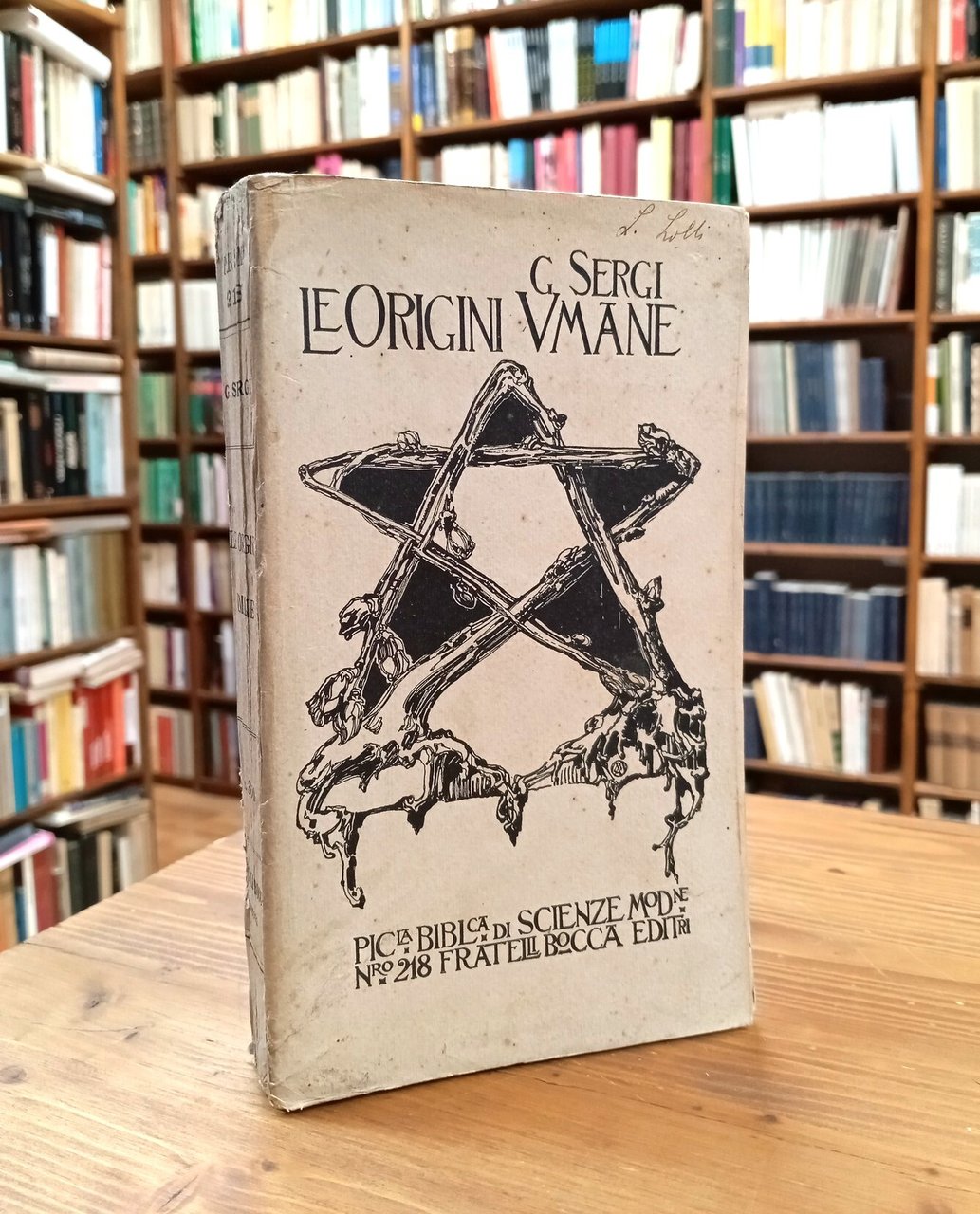 Le origini umane. Ricerche paleontologiche | Immagine principale