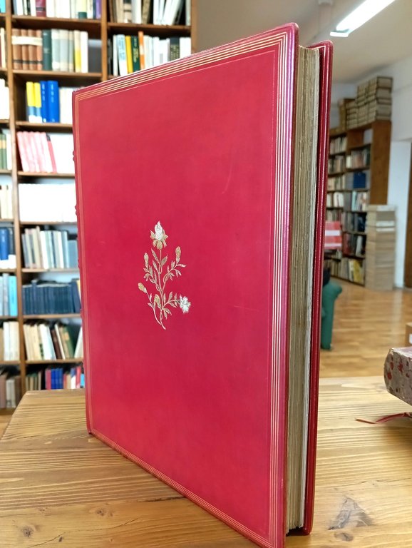 Le parfum des îles Borromées | Immagine Gallery 2