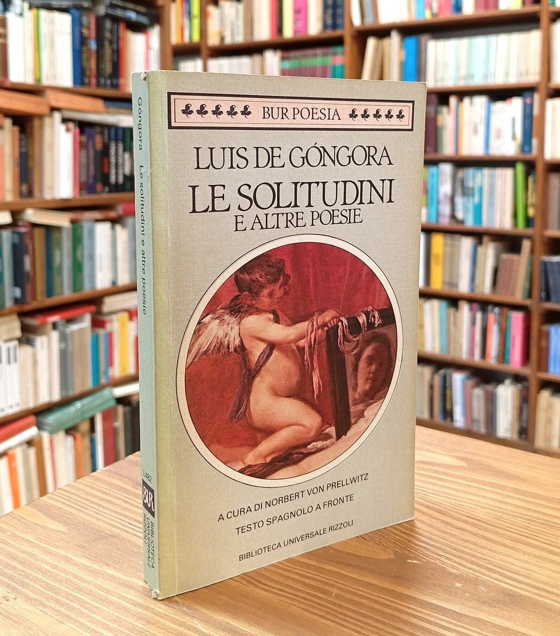 Le solitudini e altre poesie | Immagine principale