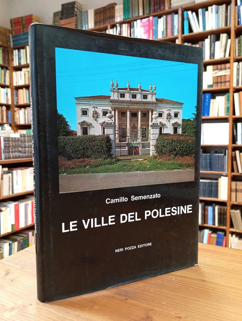 Le ville del Polesine