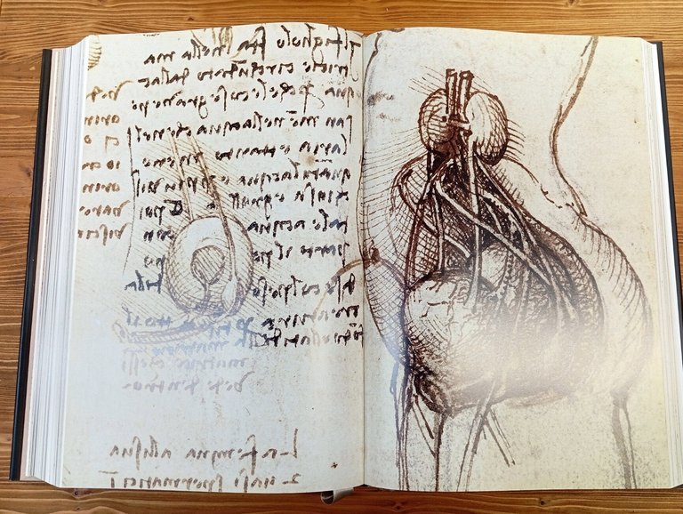 Leonardo da Vinci. Polnoe sobranie zhivopisi i grafiki [The Complete …