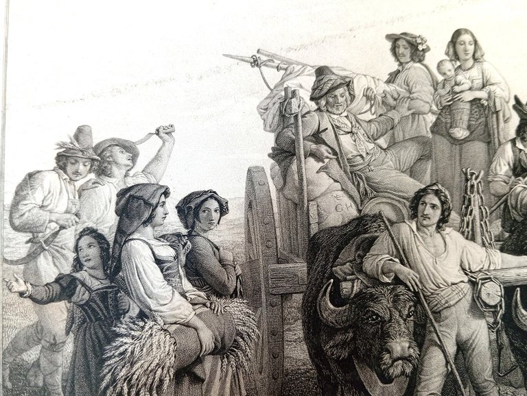 Les moissonneurs dans les Marais Pontins. Mietitura [incisione]