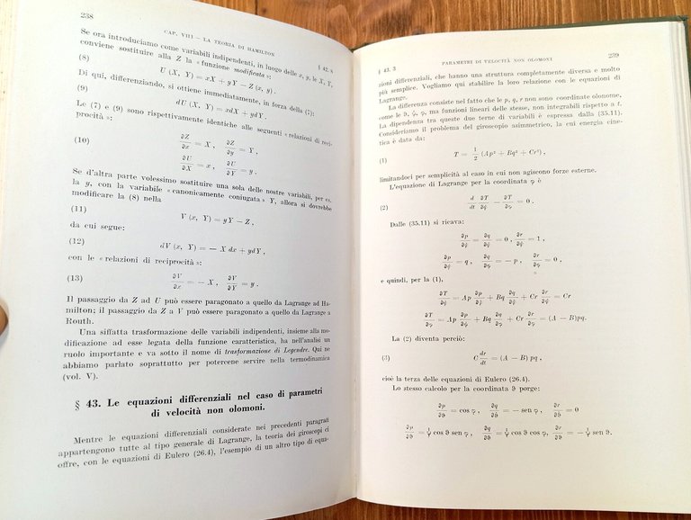 Lezioni di fisica teorica. Vol. I: Meccanica