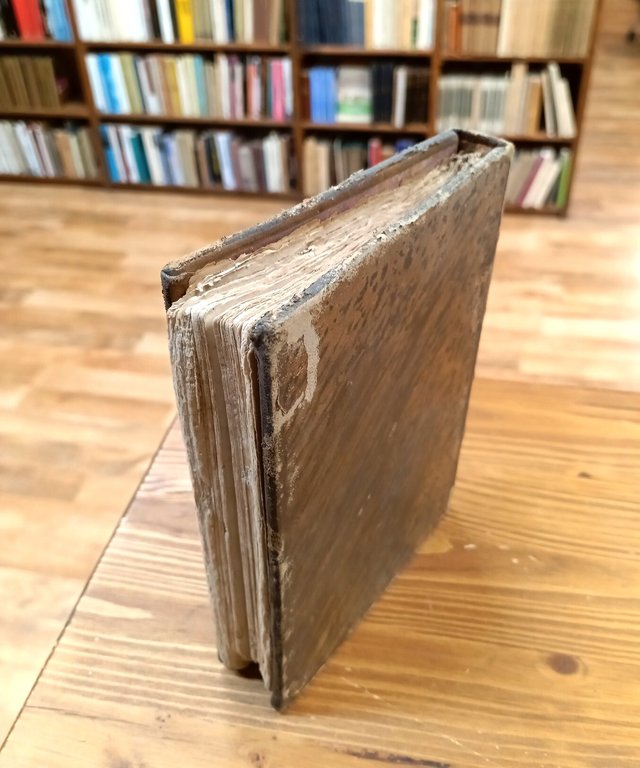 Los Andróginos. Novela | Immagine Gallery 5