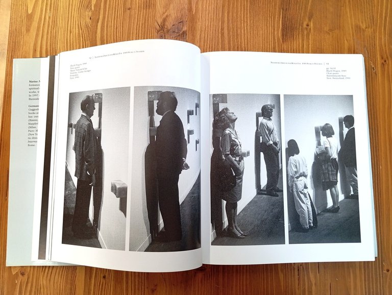 Marina Abramovic. Public Body