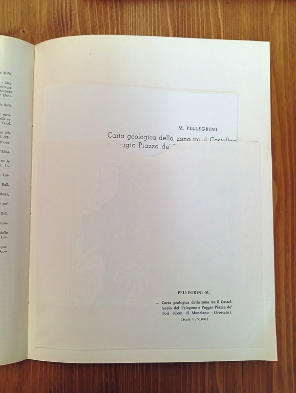 Memorie della Società Geologica Italiana. Volume VI, fascicolo 3