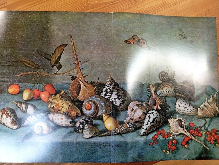 Natura in posa. La grande stagione della natura morta europea