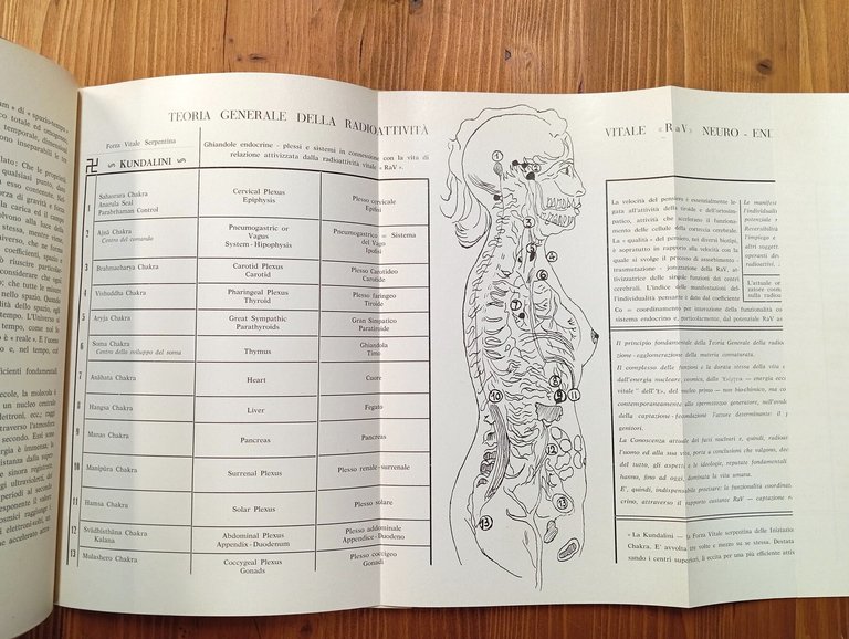 Nucleo-essenzialismo. Teoria generale della radioattività vitale R a V