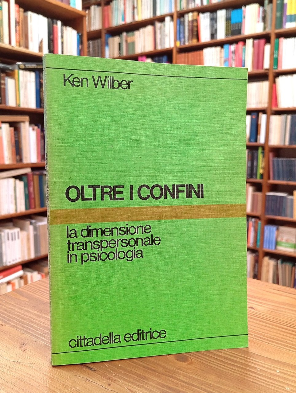 Oltre i confini. La dimensione transpersonale in psicologia