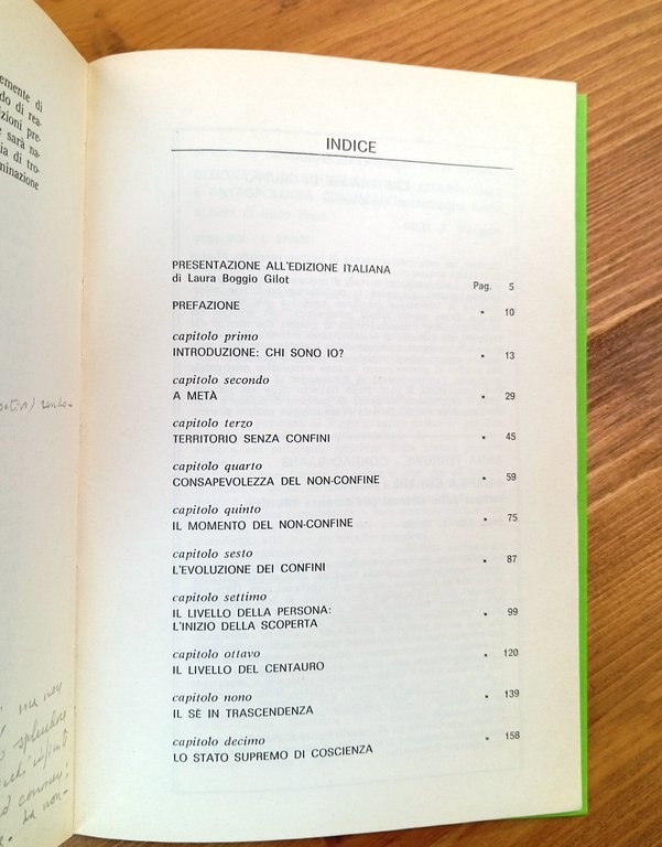 Oltre i confini. La dimensione transpersonale in psicologia