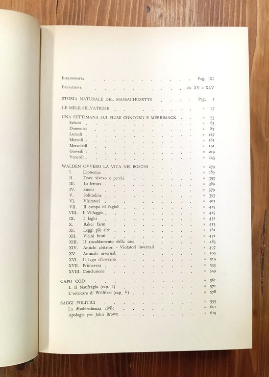 Opere scelte | Immagine Gallery 2