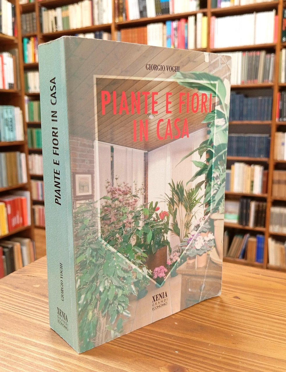 Piante e fiori in casa