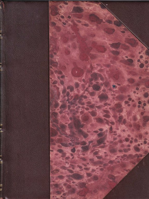 Picturesque Illustrations of Buenos Ayres Amd Monte Video Consisting of …