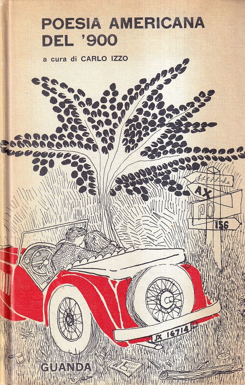 Poesia americana del '900 | Immagine principale
