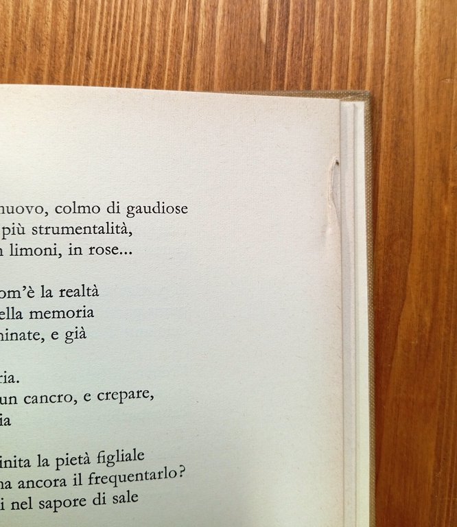 Poesia in forma di rosa (1961-1964)