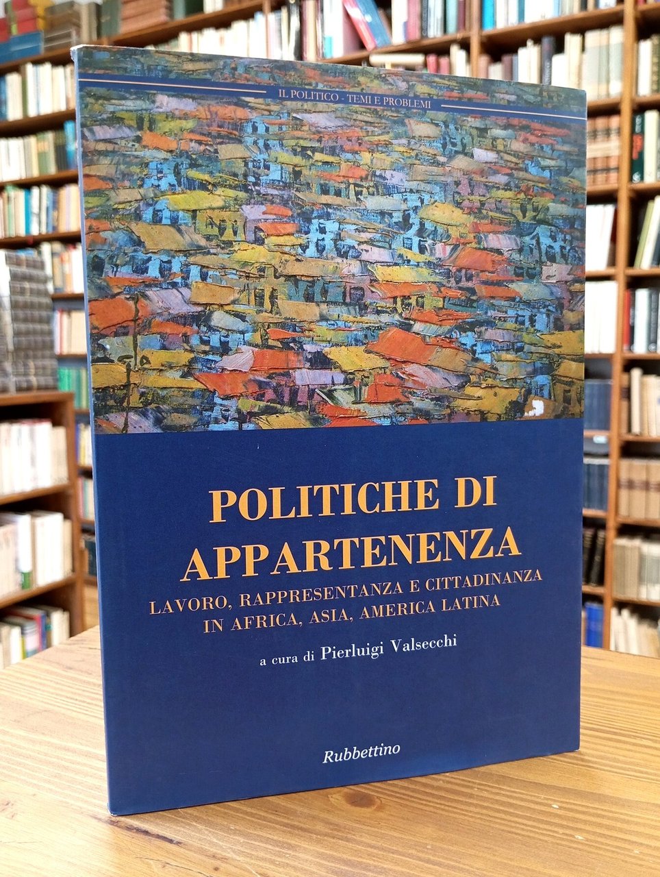 Politiche di appartenenza. Lavoro, rappresentanza e cittadinanza in Africa, Asia, …