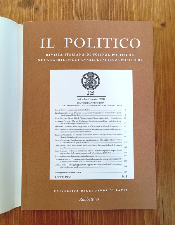 Politiche di appartenenza. Lavoro, rappresentanza e cittadinanza in Africa, Asia, …