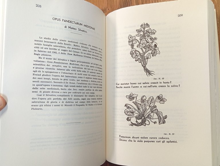 Regimen sanitatis. Flos medicinae Scholae Salerni | Immagine Gallery 2