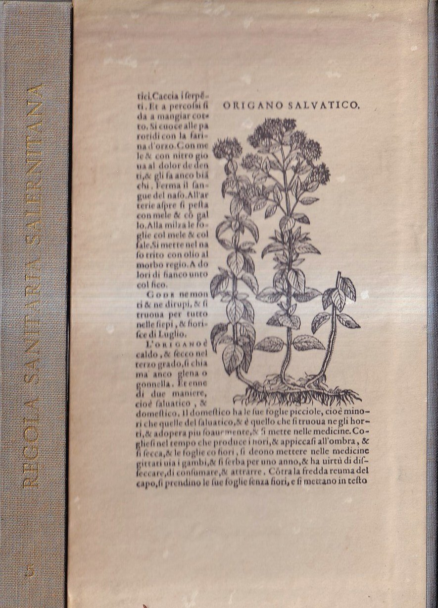 Regimen sanitatis Salerni - Regola sanitaria Salernitana