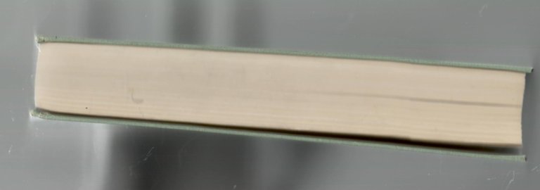 Ritratto Del Poeta Attraverso Le Lettere