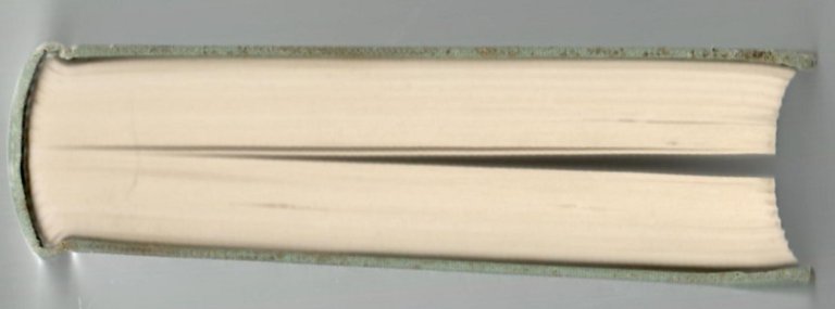 Ritratto Del Poeta Attraverso Le Lettere