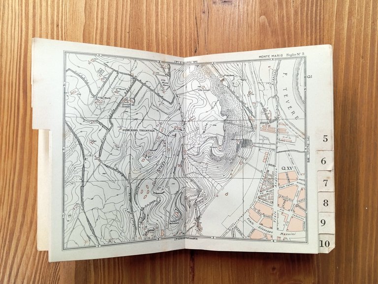 Roma: Guida Gigli. Prontuario della vita romana - anno XI, …