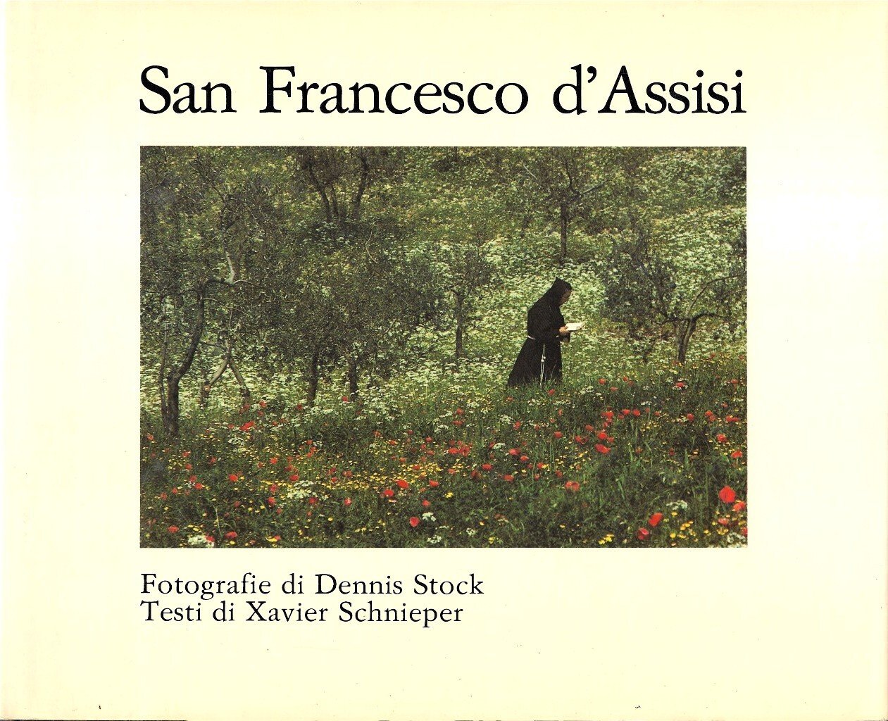 San Francesco d'Assisi | Immagine principale