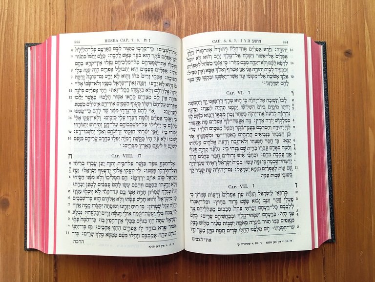 Sepher Torah Naviim u Ketubim - Hebrew Old Testament [Bibbia …